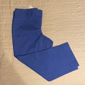 NWT LOFT pants